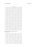 PHARMACEUTICAL COMPOSITION COMPRISING NANOG SHRNA, AND METHOD OF USING     NANOG SHRNA TO TREAT CANCER diagram and image