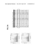 CONTROLLING FUNGAL PATHOGENS BY DISABLING THEIR SMALL RNA PATHWAYS USING     RNAi-BASED STRATEGY diagram and image