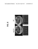 CONTROLLING FUNGAL PATHOGENS BY DISABLING THEIR SMALL RNA PATHWAYS USING     RNAi-BASED STRATEGY diagram and image