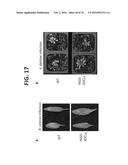 CONTROLLING FUNGAL PATHOGENS BY DISABLING THEIR SMALL RNA PATHWAYS USING     RNAi-BASED STRATEGY diagram and image