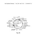 COMPOSITIONS AND METHODS FOR REPROGRAMMING HEMATOPOIETIC STEM CELL     LINEAGES diagram and image