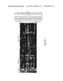 COMPOSITIONS AND METHODS FOR REPROGRAMMING HEMATOPOIETIC STEM CELL     LINEAGES diagram and image