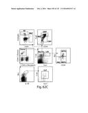 COMPOSITIONS AND METHODS FOR REPROGRAMMING HEMATOPOIETIC STEM CELL     LINEAGES diagram and image