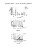 COMPOSITIONS AND METHODS FOR REPROGRAMMING HEMATOPOIETIC STEM CELL     LINEAGES diagram and image