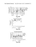 COMPOSITIONS AND METHODS FOR REPROGRAMMING HEMATOPOIETIC STEM CELL     LINEAGES diagram and image