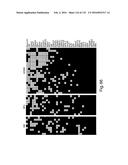 COMPOSITIONS AND METHODS FOR REPROGRAMMING HEMATOPOIETIC STEM CELL     LINEAGES diagram and image