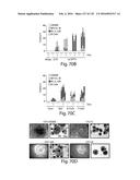 COMPOSITIONS AND METHODS FOR REPROGRAMMING HEMATOPOIETIC STEM CELL     LINEAGES diagram and image