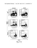 COMPOSITIONS AND METHODS FOR REPROGRAMMING HEMATOPOIETIC STEM CELL     LINEAGES diagram and image