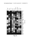 COMPOSITIONS AND METHODS FOR REPROGRAMMING HEMATOPOIETIC STEM CELL     LINEAGES diagram and image