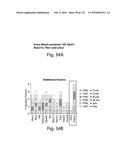 COMPOSITIONS AND METHODS FOR REPROGRAMMING HEMATOPOIETIC STEM CELL     LINEAGES diagram and image