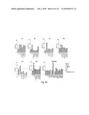 COMPOSITIONS AND METHODS FOR REPROGRAMMING HEMATOPOIETIC STEM CELL     LINEAGES diagram and image