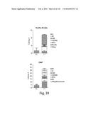 COMPOSITIONS AND METHODS FOR REPROGRAMMING HEMATOPOIETIC STEM CELL     LINEAGES diagram and image