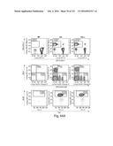 COMPOSITIONS AND METHODS FOR REPROGRAMMING HEMATOPOIETIC STEM CELL     LINEAGES diagram and image