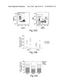 COMPOSITIONS AND METHODS FOR REPROGRAMMING HEMATOPOIETIC STEM CELL     LINEAGES diagram and image