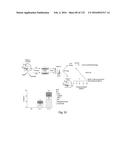 COMPOSITIONS AND METHODS FOR REPROGRAMMING HEMATOPOIETIC STEM CELL     LINEAGES diagram and image