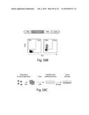 COMPOSITIONS AND METHODS FOR REPROGRAMMING HEMATOPOIETIC STEM CELL     LINEAGES diagram and image