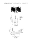 COMPOSITIONS AND METHODS FOR REPROGRAMMING HEMATOPOIETIC STEM CELL     LINEAGES diagram and image