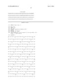 METHOD OF USING ALPHA-AMYLASE FROM ASPERGILLUS FUMIGATUS AND ISOAMYLASE     FOR SACCHARIFICATION diagram and image