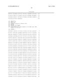 METHOD OF USING ALPHA-AMYLASE FROM ASPERGILLUS FUMIGATUS AND ISOAMYLASE     FOR SACCHARIFICATION diagram and image