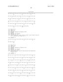 METHOD OF USING ALPHA-AMYLASE FROM ASPERGILLUS FUMIGATUS AND ISOAMYLASE     FOR SACCHARIFICATION diagram and image