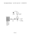 CELLULOSIC ENZYME RECYCLING FROM SEPARATION OF SACCHARIFIED BIOMASS diagram and image