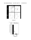 Sortase-mediated protein purification and ligation diagram and image