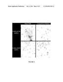 Sortase-mediated protein purification and ligation diagram and image