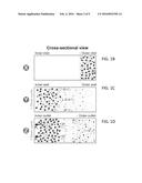 Microfluidic Microbe Detection and Isolation diagram and image