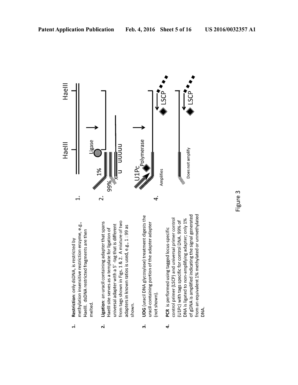 METHOD FOR RELATIVE QUANTIFICATION OF CHANGES IN DNA METHYLATION, USING     COMBINED NUCLEASE, LIGATION, AND POLYMERASE REACTIONS - diagram, schematic, and image 06