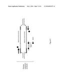 METHOD FOR RELATIVE QUANTIFICATION OF CHANGES IN DNA METHYLATION, USING     COMBINED NUCLEASE, LIGATION, AND POLYMERASE REACTIONS diagram and image