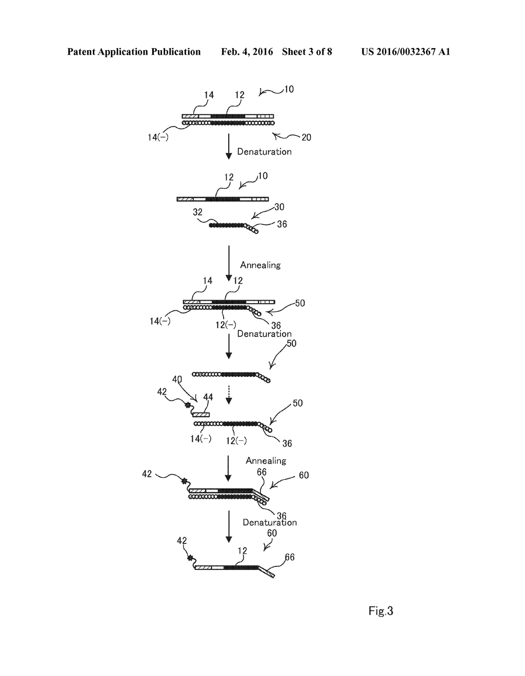 Method for Detection of Target Nucleic Acid - diagram, schematic, and image 04