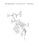 ENZYME-LINKED NUCLEOTIDES diagram and image