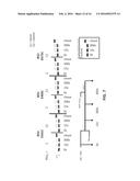 ENZYME-LINKED NUCLEOTIDES diagram and image