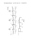 ENZYME-LINKED NUCLEOTIDES diagram and image