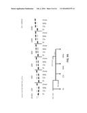 ENZYME-LINKED NUCLEOTIDES diagram and image