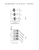 USE OF SHROOM3 IN CHRONIC KIDNEY DISEASE AND CHRONIC ALLOGRAFT NEPHROPATHY diagram and image