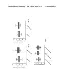 USE OF SHROOM3 IN CHRONIC KIDNEY DISEASE AND CHRONIC ALLOGRAFT NEPHROPATHY diagram and image