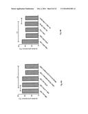 USE OF SHROOM3 IN CHRONIC KIDNEY DISEASE AND CHRONIC ALLOGRAFT NEPHROPATHY diagram and image