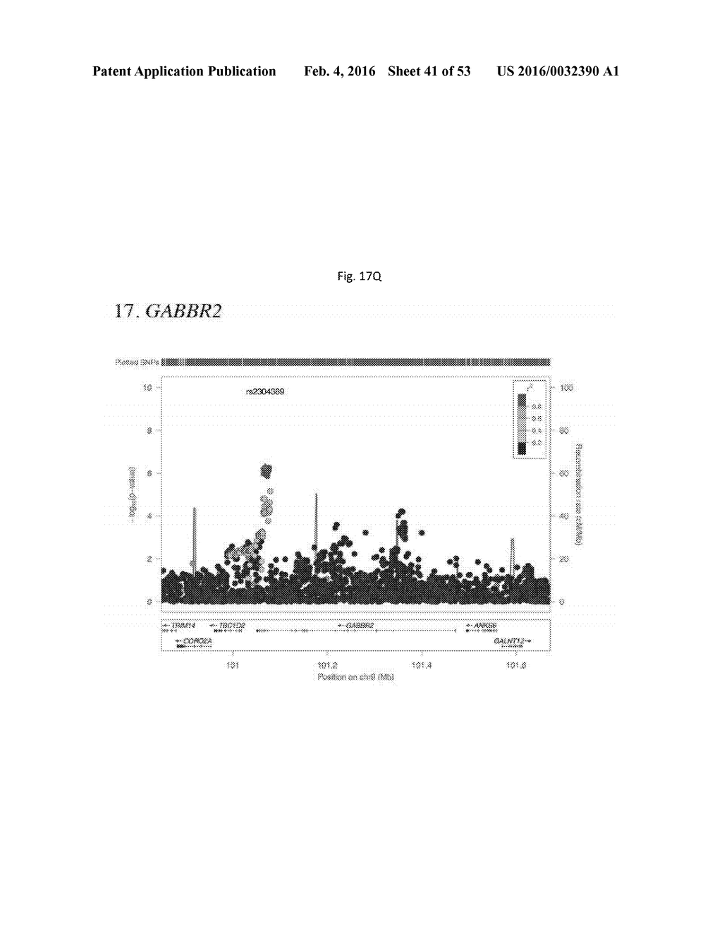 SCHIZOPHRENIA-ASSOCIATED GENETIC LOCI IDENTIFIED IN GENOME WIDE     ASSOCIATION STUDIES AND METHODS OF USE THEREOF - diagram, schematic, and image 42