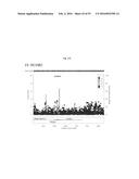 SCHIZOPHRENIA-ASSOCIATED GENETIC LOCI IDENTIFIED IN GENOME WIDE     ASSOCIATION STUDIES AND METHODS OF USE THEREOF diagram and image