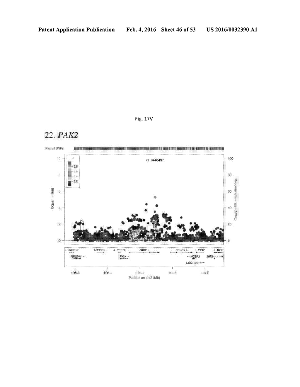 SCHIZOPHRENIA-ASSOCIATED GENETIC LOCI IDENTIFIED IN GENOME WIDE     ASSOCIATION STUDIES AND METHODS OF USE THEREOF - diagram, schematic, and image 47