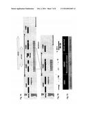 METHOD FOR IDENTIFYING OR DETECTING GENOMIC REARRANGEMENTS IN A BIOLOGICAL     SAMPLE diagram and image