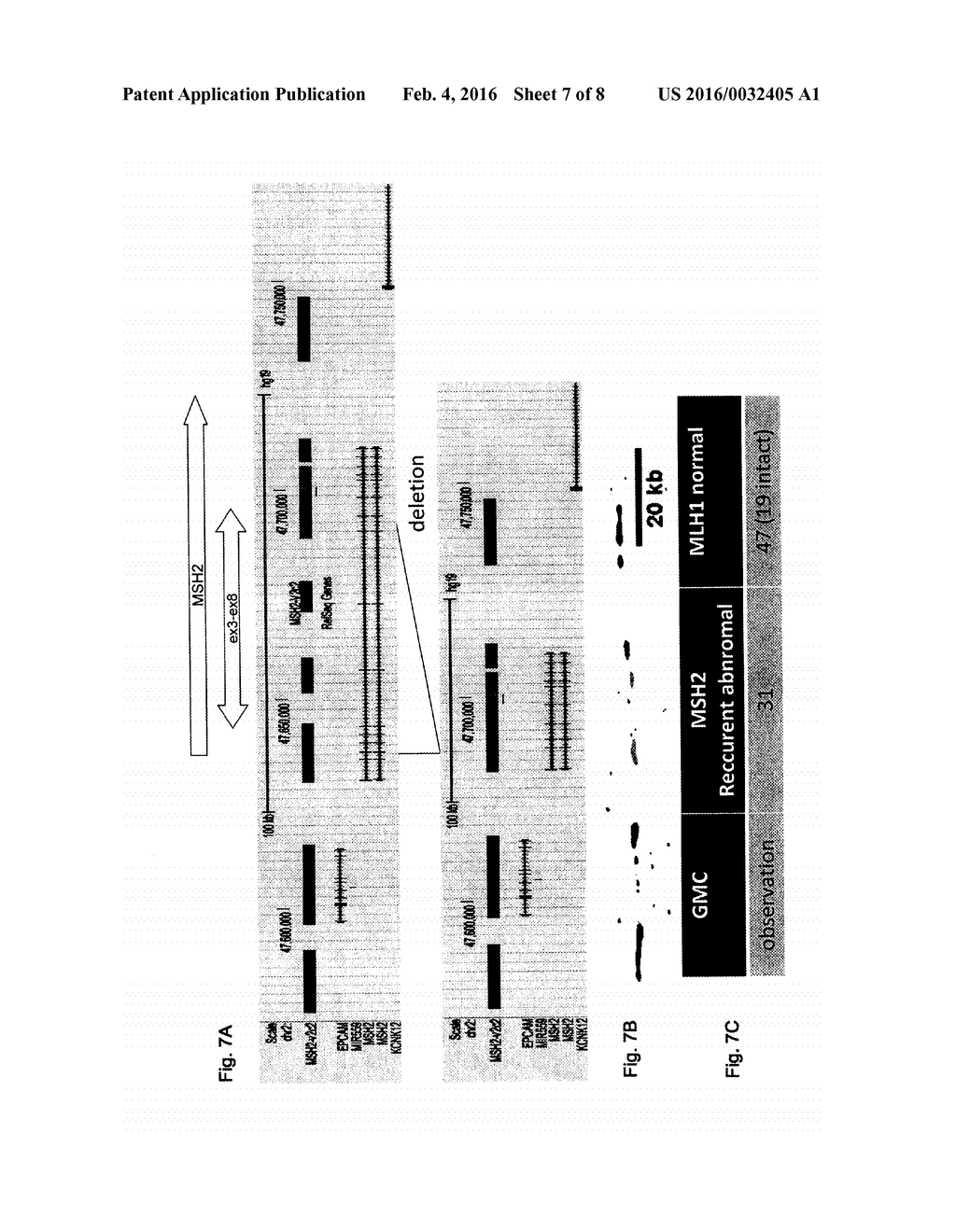 METHOD FOR IDENTIFYING OR DETECTING GENOMIC REARRANGEMENTS IN A BIOLOGICAL     SAMPLE - diagram, schematic, and image 08