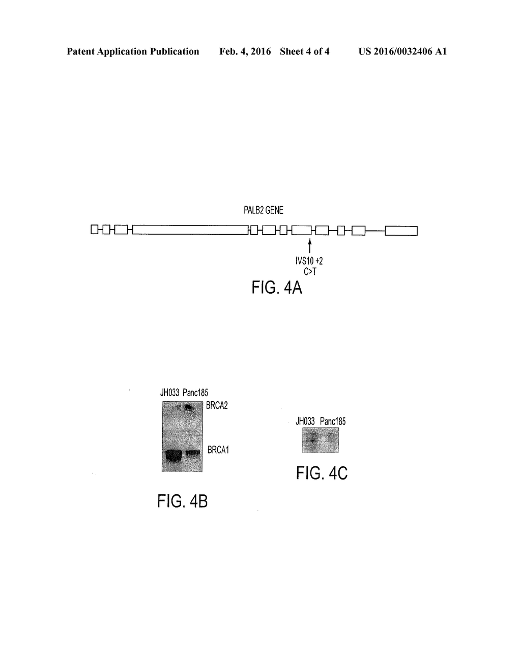 Diagnostic Method Using PALB2/US - diagram, schematic, and image 05