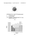 NANOPRODUCT COMPRISING LACTOBACILLUS REUTERI DAN080 USEFUL IN PROPHYLAXIS     AND MEDICINE, BOTH HUMAN AND VETERINARY AND MEDICAL USE OF THE SAME diagram and image