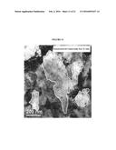 Nanostructured Titanium Alloy and Method for Thermomechanically Processing     the Same diagram and image