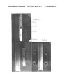 COLLISION BEARING diagram and image