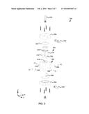 FLUOROMETER WITH MULTIPLE DETECTION CHANNELS diagram and image