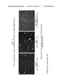 SERUM-BASED, DIAGNOSTIC, BIOLOGICAL ASSAY TO PREDICT PREGNANCY DISORDERS diagram and image