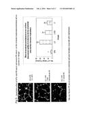 SERUM-BASED, DIAGNOSTIC, BIOLOGICAL ASSAY TO PREDICT PREGNANCY DISORDERS diagram and image